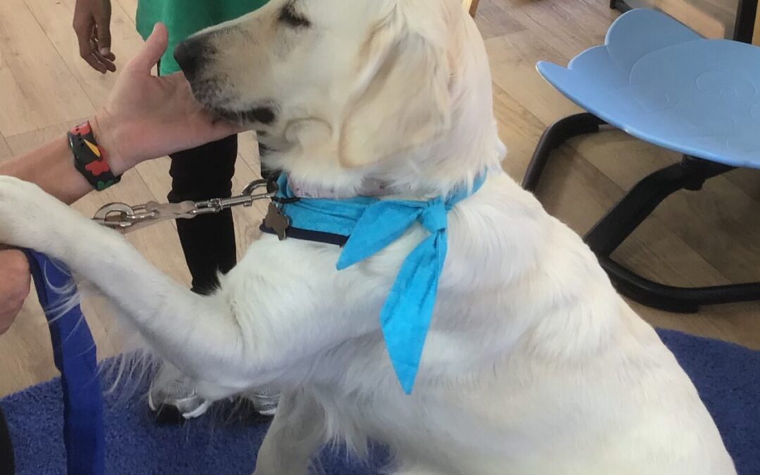 Essex Therapy Dogs